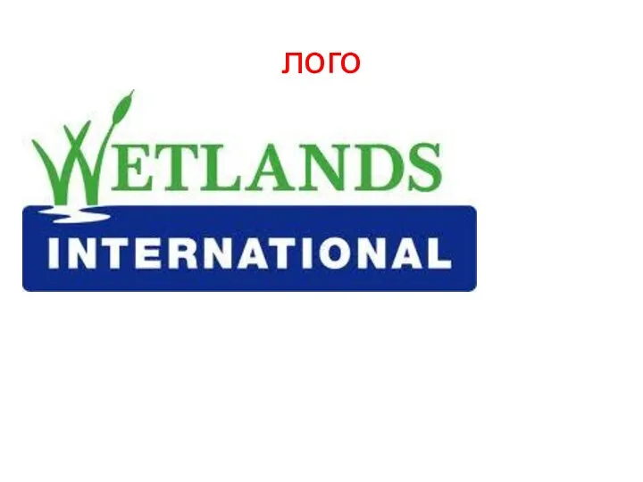 Wetlands International - міжнародна неурядова організація, яка існує задля збереження і відновлення водно-болотних угідь