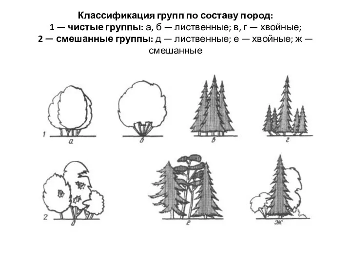 Классификация групп по составу пород: 1 — чистые группы: а,