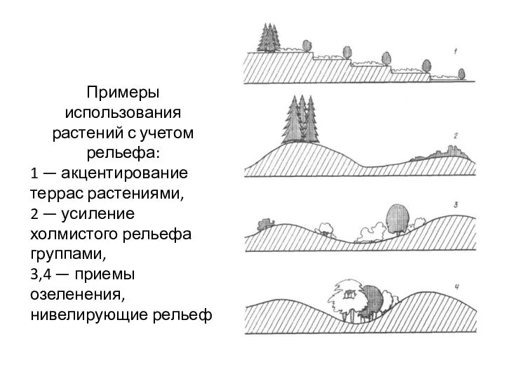 Примеры использования растений с учетом рельефа: 1 — акцентирование террас