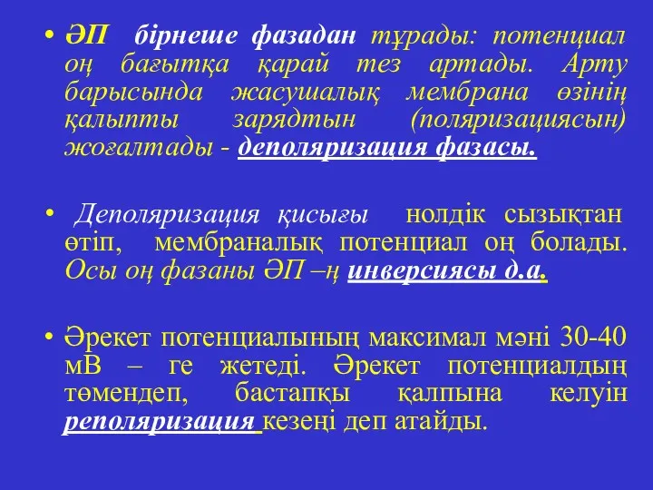 ӘП бірнеше фазадан тұрады: потенциал оң бағытқа қарай тез артады.