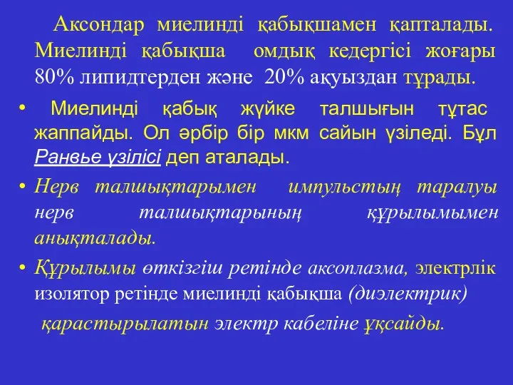 Аксондар миелинді қабықшамен қапталады. Миелинді қабықша омдық кедергісі жоғары 80%