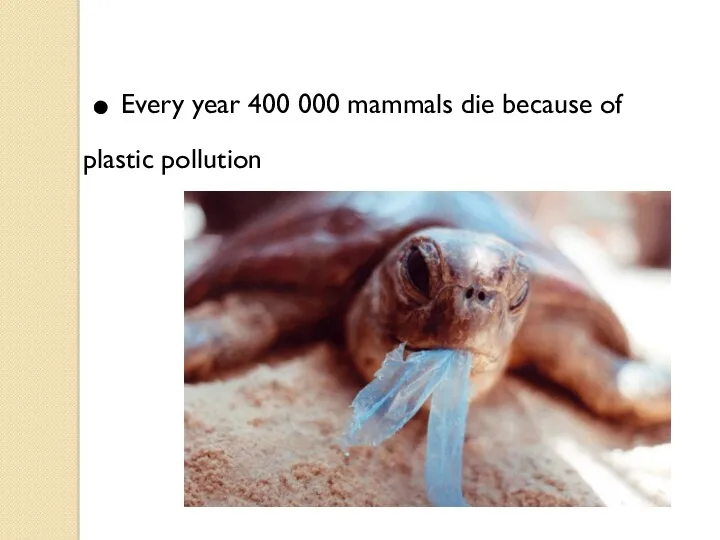 . Every year 400 000 mammals die because of plastic pollution