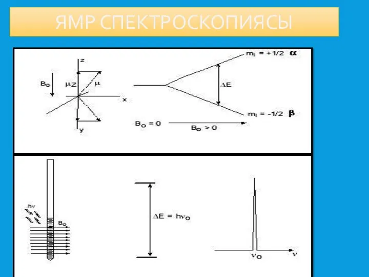 ЯМР СПЕКТРОСКОПИЯСЫ