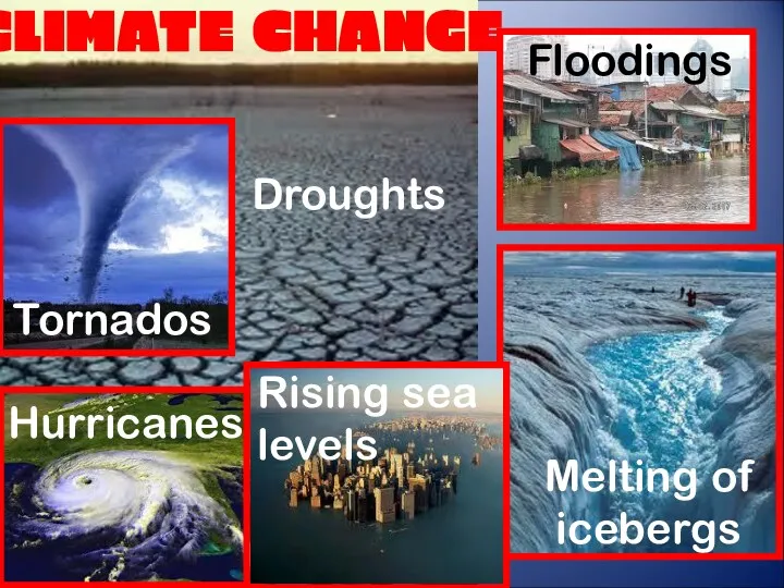 Droughts Floodings Hurricanes Tornados Melting of icebergs Rising sea levels CLIMATE CHANGE