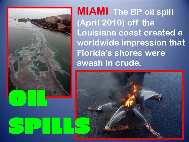 MIAMI The BP oil spill (April 2010) off the Louisiana coast created a