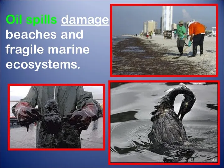 Oil spills damage beaches and fragile marine ecosystems.