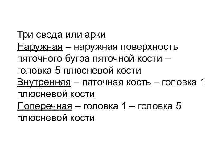 Три свода или арки Наружная – наружная поверхность пяточного бугра