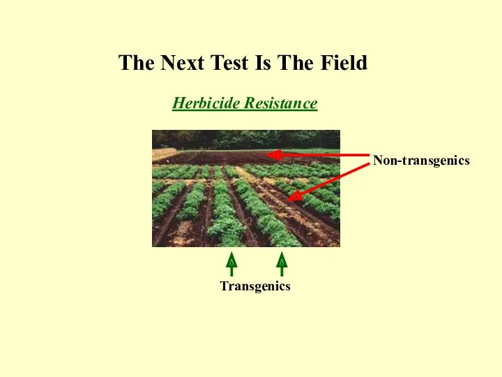 The Next Test Is The Field Herbicide Resistance