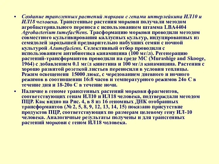 Создание трансгенных растений моркови с генами интерлейкина ИЛ10 и ИЛ18