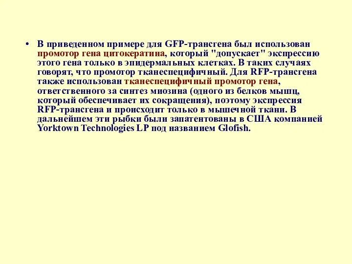 В приведенном примере для GFP-трансгена был использован промотор гена цитокератина,