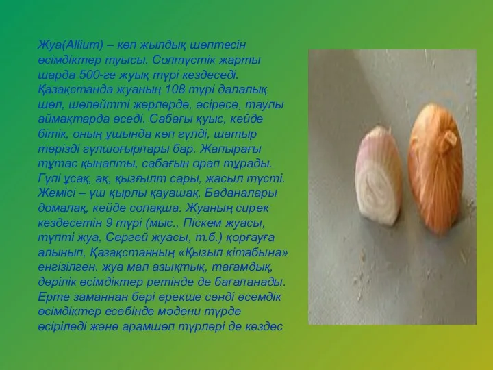 Жуа(Allіum) – көп жылдық шөптесін өсімдіктер туысы. Солтүстік жарты шарда
