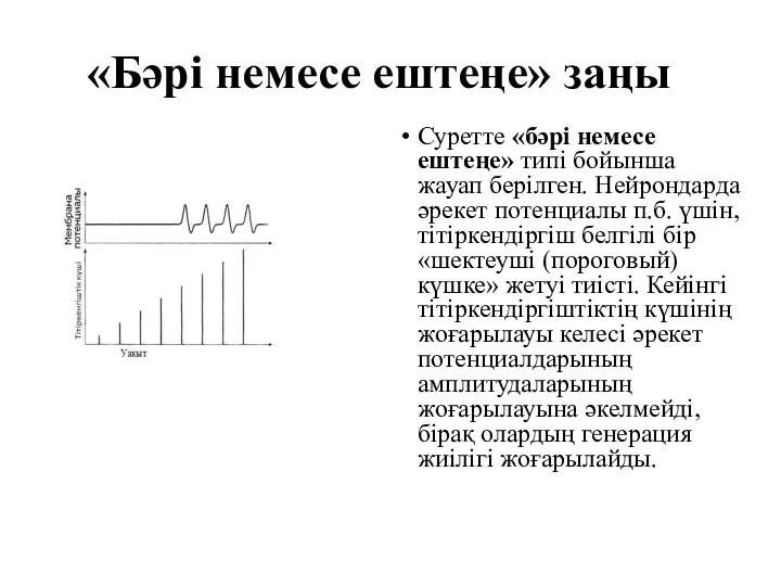 «Бәрі немесе ештеңе» заңы Суретте «бәрі немесе ештеңе» типі бойынша