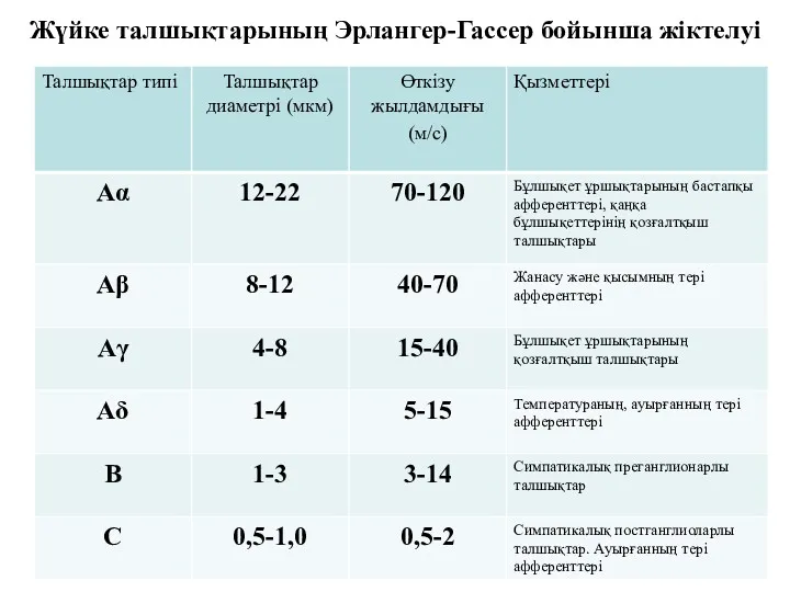 Жүйке талшықтарының Эрлангер-Гассер бойынша жіктелуі