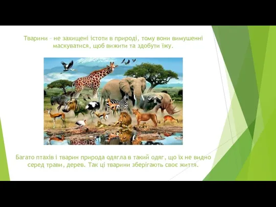 Тварини – не захищені істоти в природі, тому вони вимушенні
