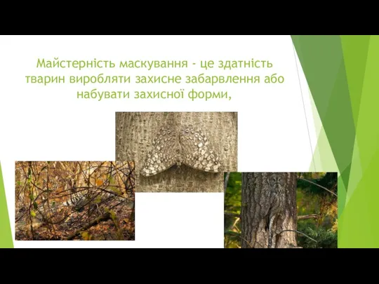 Майстерність маскування - це здатність тварин виробляти захисне забарвлення або набувати захисної форми,