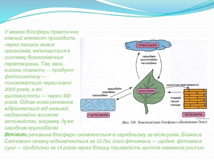 У межах біосфери практично кожний елемент проходить через ланцюг живих