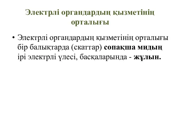 Электрлі органдардың қызметінің орталығы Электрлі органдардың қызметінің орталығы бір балықтарда