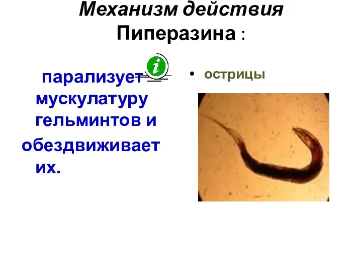 Механизм действия Пиперазина : парализует мускулатуру гельминтов и обездвиживает их. острицы