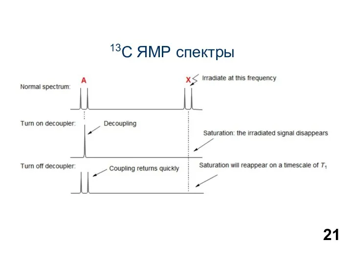 13С ЯМР спектры