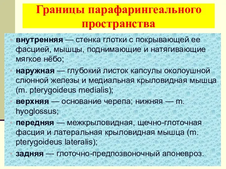 Границы парафарингеального пространства внутренняя — стенка глотки с покрывающей ее