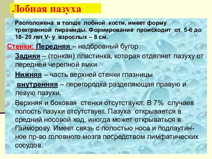 Лобная пазуха Расположена в толще лобной кости, имеет форму трехгранной