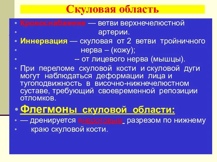 Скуловая область Кровоснабжение — ветви верхнечелюстной артерии. Иннервация — скуловая