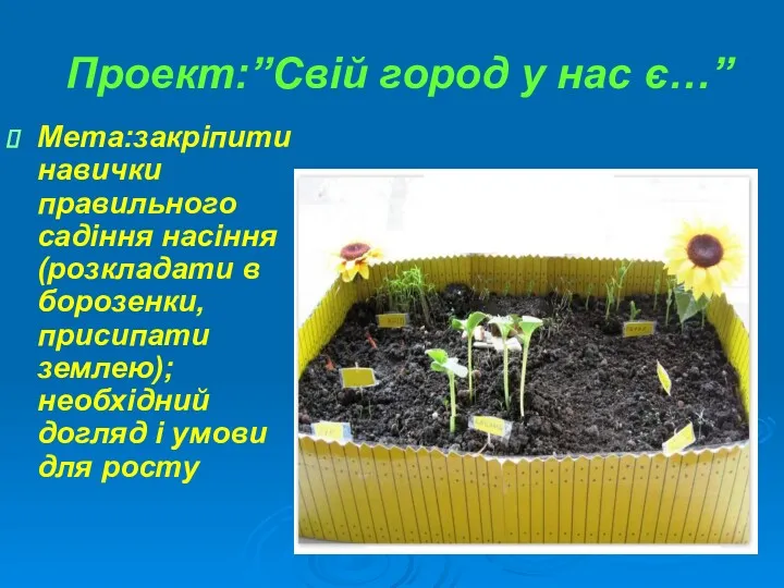 Проект:”Свій город у нас є…” Мета:закріпити навички правильного садіння насіння