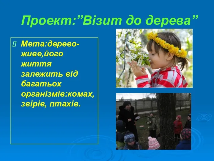 Проект:”Візит до дерева” Мета:дерево-живе,його життя залежить від багатьох організмів:комах, звірів, птахів.