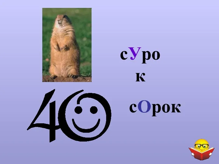 сУрок сОрок