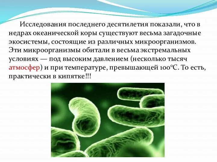 Исследования последнего десятилетия показали, что в недрах океанической коры существуют