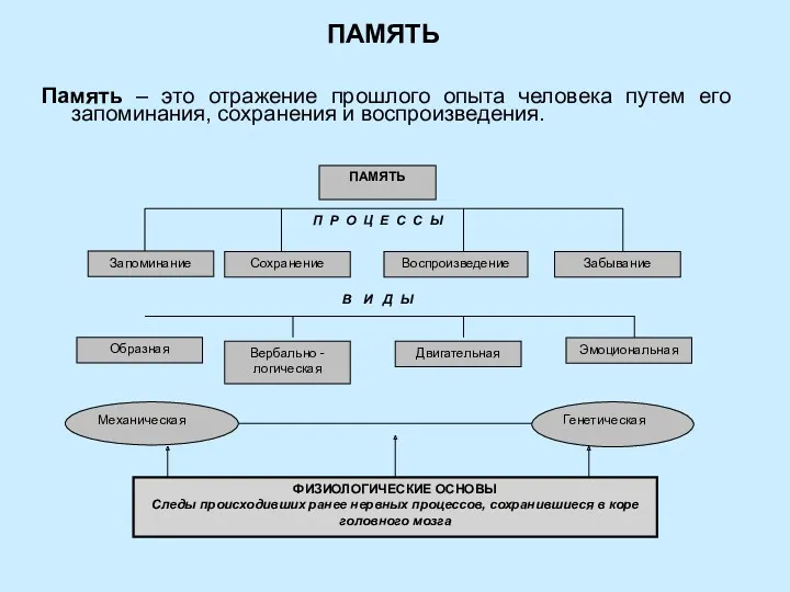 ПАМЯТЬ Память – это отражение прошлого опыта человека путем его запоминания, сохранения и воспроизведения.