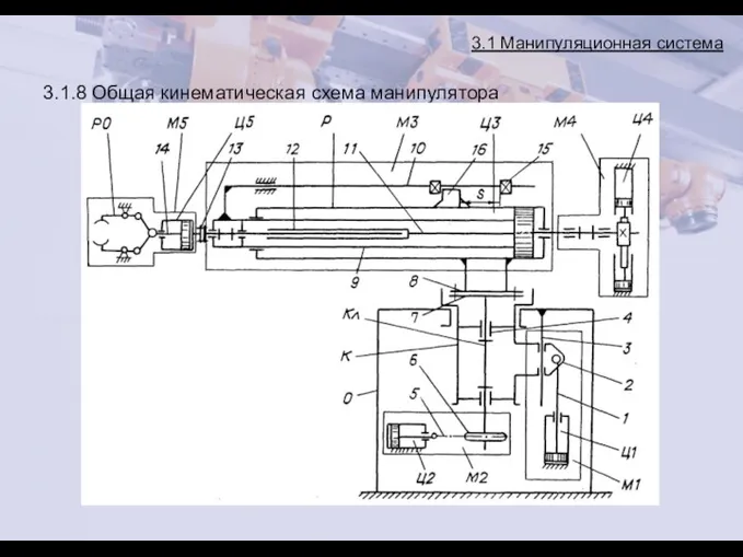 3.1 Манипуляционная система 3.1.8 Общая кинематическая схема манипулятора