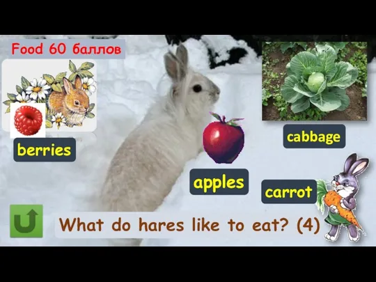 Food 60 баллов What do hares like to eat? (4) berries apples cabbage carrot