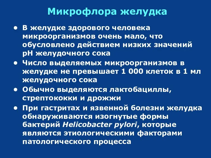 Микрофлора желудка В желудке здорового человека микроорганизмов очень мало, что