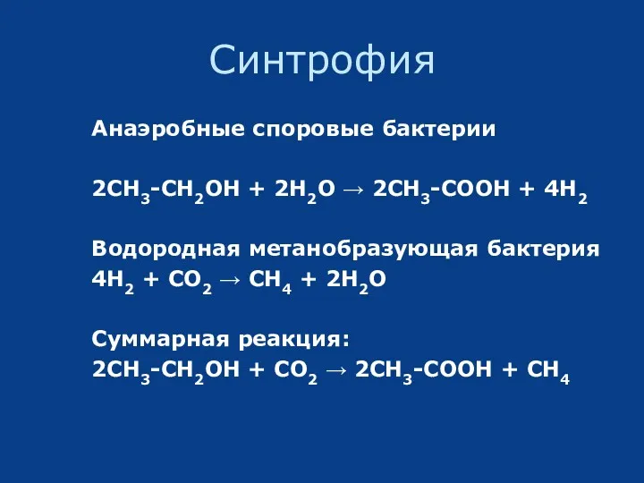 Синтрофия Анаэробные споровые бактерии 2CH3-CH2OH + 2H2O → 2CH3-COOH +