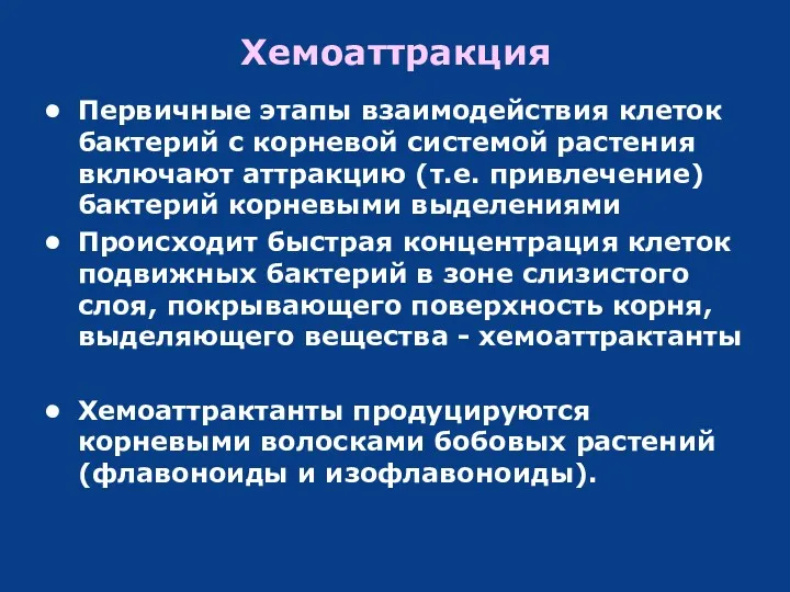 Хемоаттракция Первичные этапы взаимодействия клеток бактерий с корневой системой растения