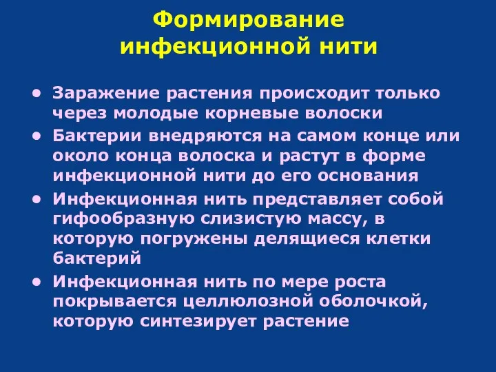 Формирование инфекционной нити Заражение растения происходит только через молодые корневые