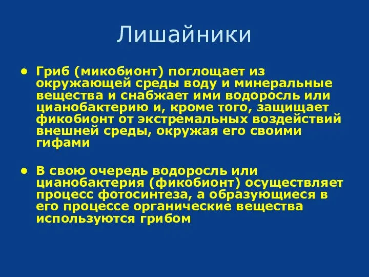 Лишайники Гриб (микобионт) поглощает из окружающей среды воду и минеральные