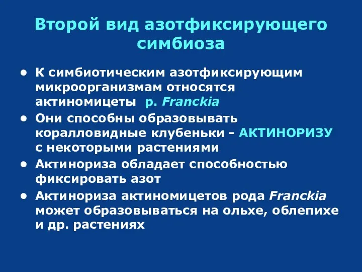 Второй вид азотфиксирующего симбиоза К симбиотическим азотфиксирующим микроорганизмам относятся актиномицеты