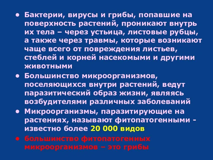 Бактерии, вирусы и грибы, попавшие на поверхность растений, проникают внутрь