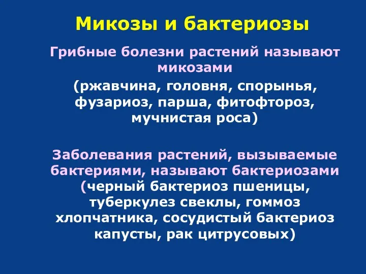 Микозы и бактериозы Грибные болезни растений называют микозами (ржавчина, головня,