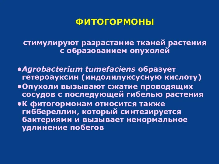 ФИТОГОРМОНЫ стимулируют разрастание тканей растения с образованием опухолей Agrobacterium tumefaciens