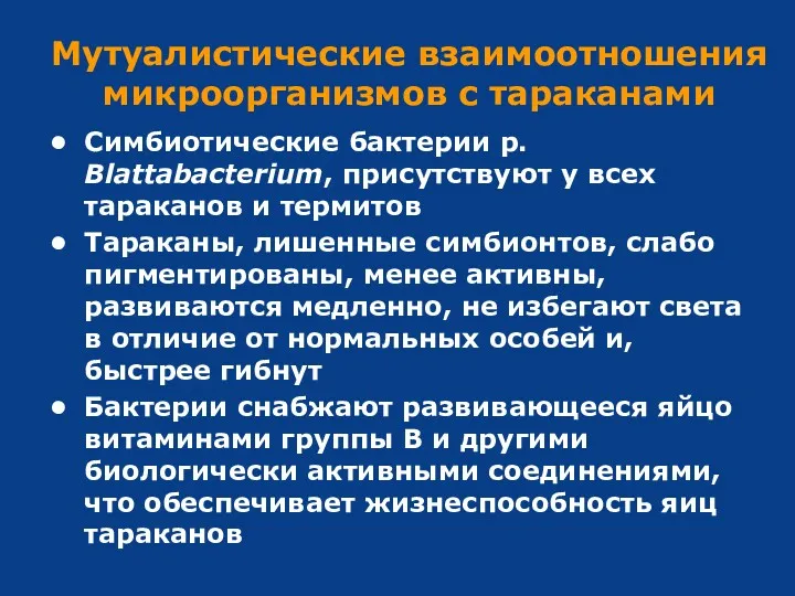 Мутуалистические взаимоотношения микроорганизмов c тараканами Симбиотические бактерии р. Blattabacterium, присутствуют