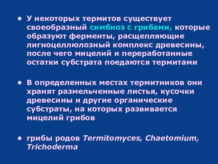 У некоторых термитов существует своеобразный симбиоз с грибами, которые образуют