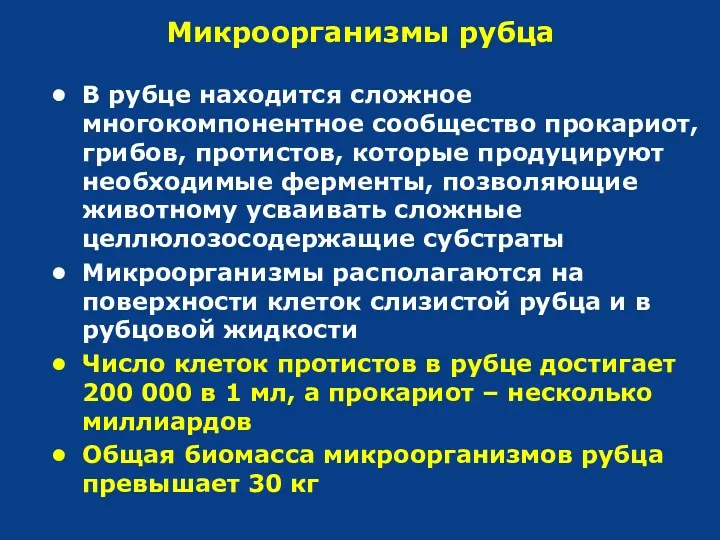 Микроорганизмы рубца В рубце находится сложное многокомпонентное сообщество прокариот, грибов,