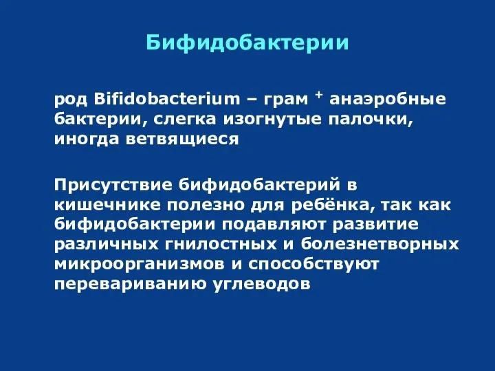 Бифидобактерии род Bifidobacterium – грам + анаэробные бактерии, слегка изогнутые