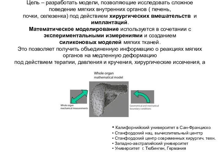 Цель – разработать модели, позволяющие исследовать сложное поведение мягких внутренних органов ( печень,