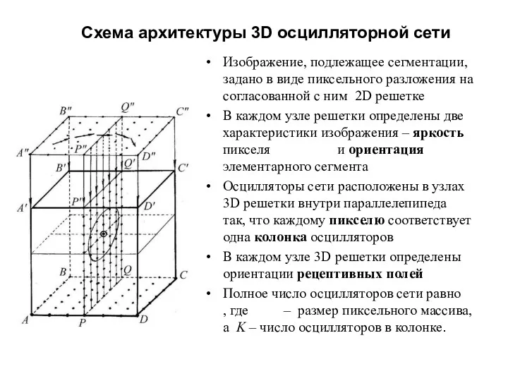 Схема архитектуры 3D осцилляторной сети Изображение, подлежащее сегментации, задано в виде пиксельного разложения