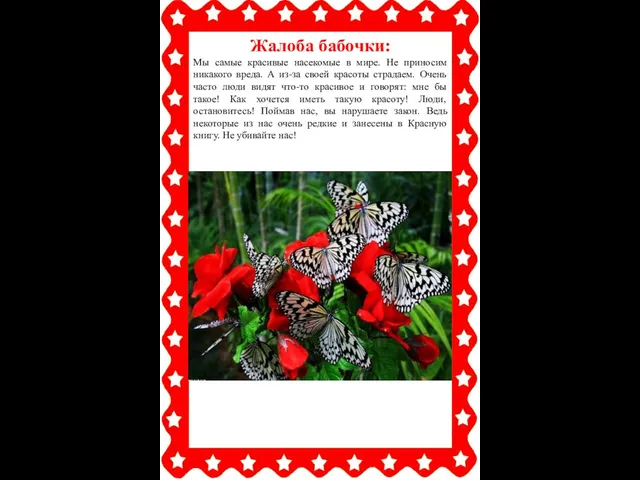 Жалоба бабочки: Мы самые красивые насекомые в мире. Не приносим