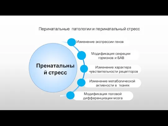 Перинатальные патологии и перинатальный стресс